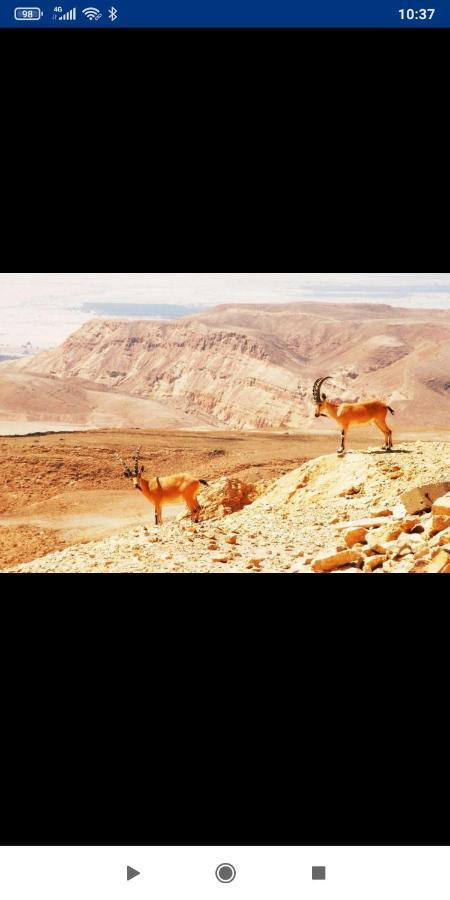 אלת המדברgoddess Of The Desert Be'er Ora 外观 照片